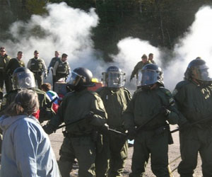 Algonquin's Highway of Death